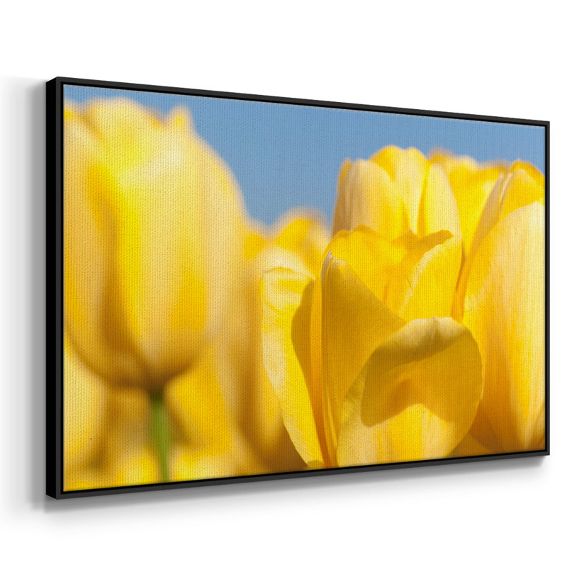 Sunshine Yellow I, reproduction d'art sur toile, H 27 po x l 41 po x P 2 po, Noir