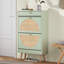 Cerina Boho Natural Rattan Shoe Storage Cabinet-1154036686