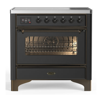Majestic III Series 36 Inch Induction Range with 6 Induction Elements in Matte Graphite (Burnished Trim)