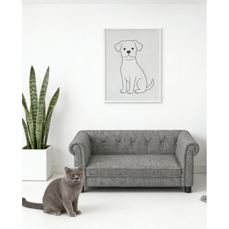 Durable Elevated Dog Sofa Bed, Light Gray