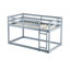 Lit simple au-dessus d'un lit mezzanine gris - Fabriqué en bois d'hévéa massif pour une couleur de bois durable, pratique-414722806