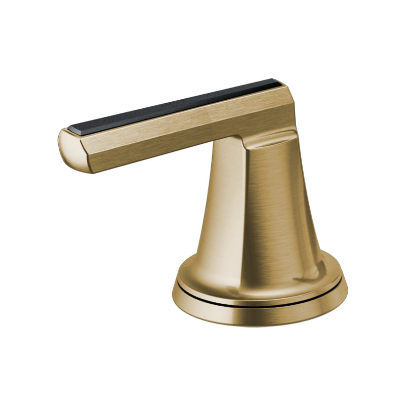 Levoir® Two-Handle Wall Mount Lavatory Faucet - Less Handles, Lever, Luxe Nickel