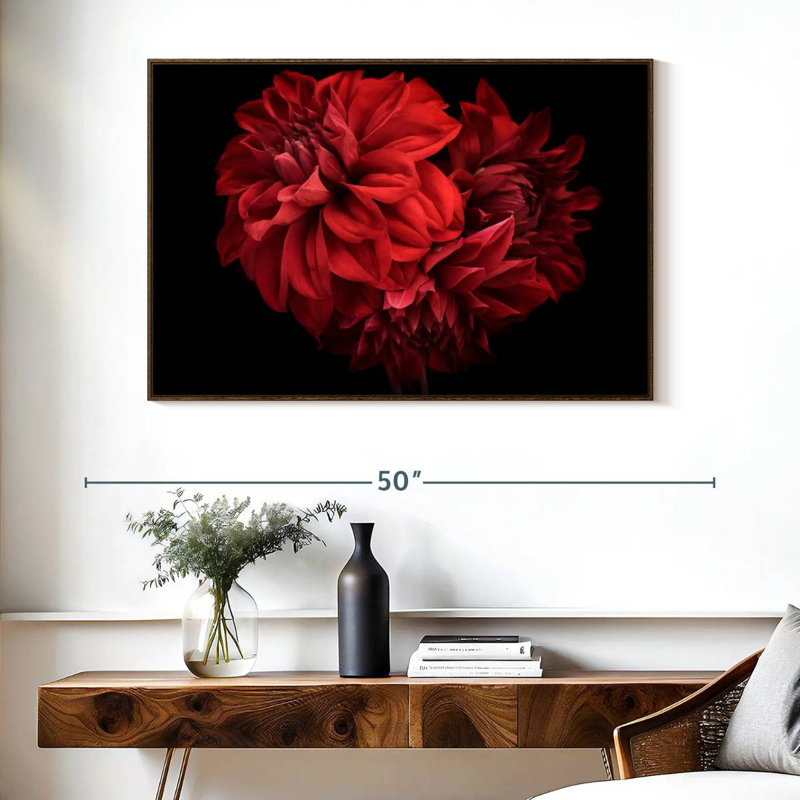Dahlia rouge en fleurs, Cadre flottant noyer, 40 po x 27 po