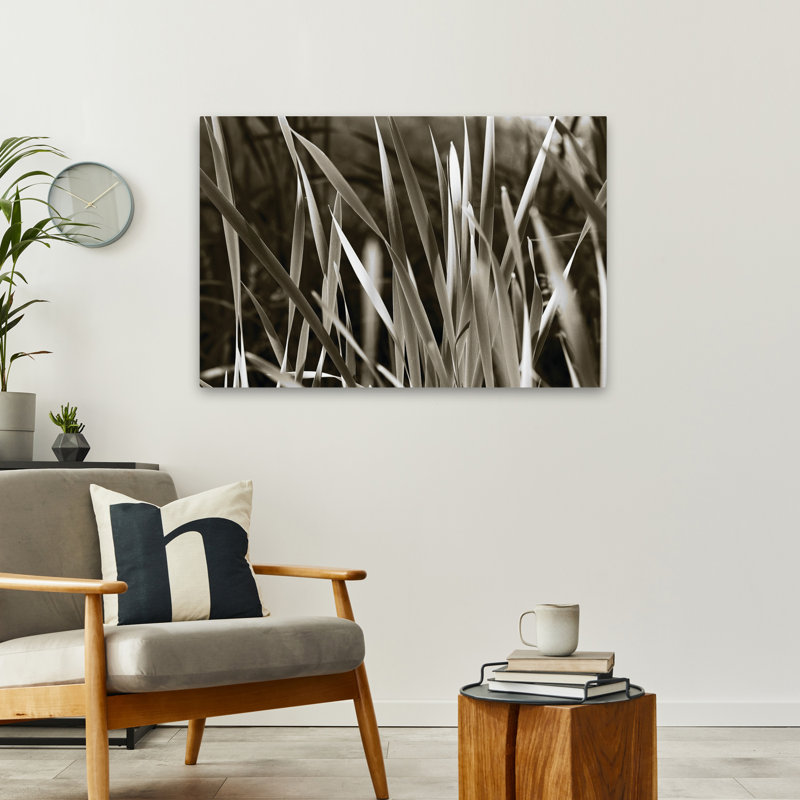 Sunlit Grass - herbes contemporaines agrandies, texture de plante abstraite, tons neutres, art, H 24 po x l 36 po