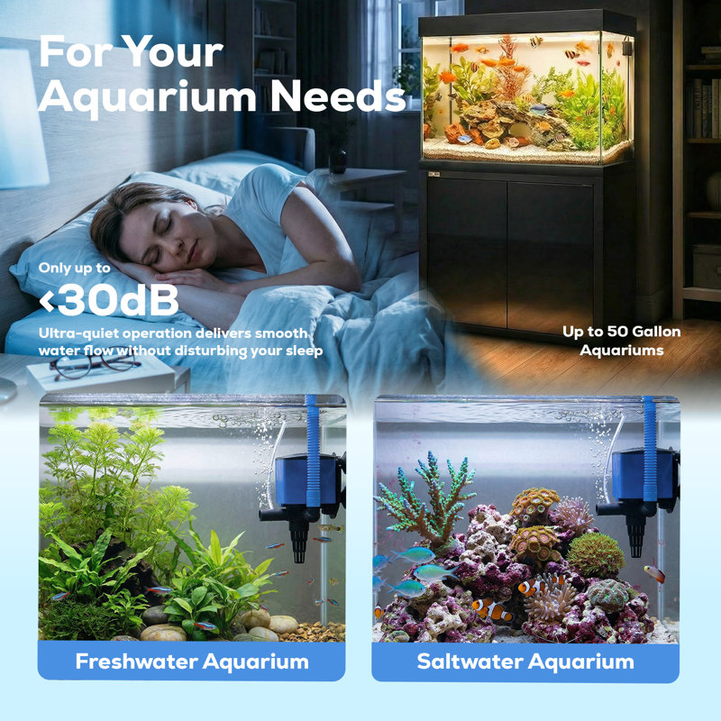 Accessoire d'aquarium