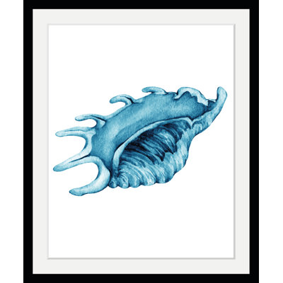 Shell - Single Picture Frame Print