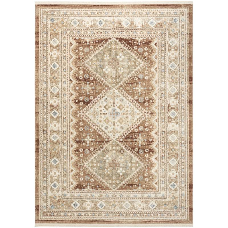 Nourison Pardis 5'3" x 7' Rust Vintage Indoor Rug, Rectangle 5'3" x 7'