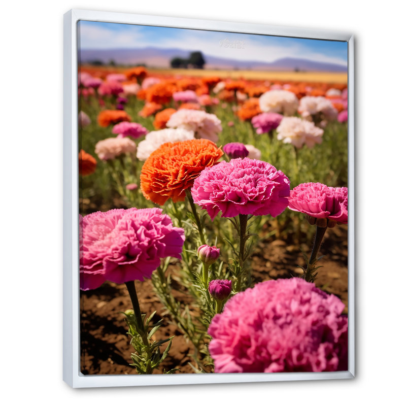 Rose, blanc, orange, œillets, art mural sur toile, Cadre flottant blanc, H 44 po x l 34 po x P 1,5 po