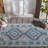 Amarien Performance Oriental Indoor/Outdoor Area Rug-704659771