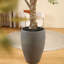 8ft UV Resistant Artificial Eucalyptus Tree with Grey Tall Planter, Pre Potted Faux Eucalyptus