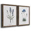 Lavande - ensemble de 2 reproductions d'impressions-484035731-484035946-467967545