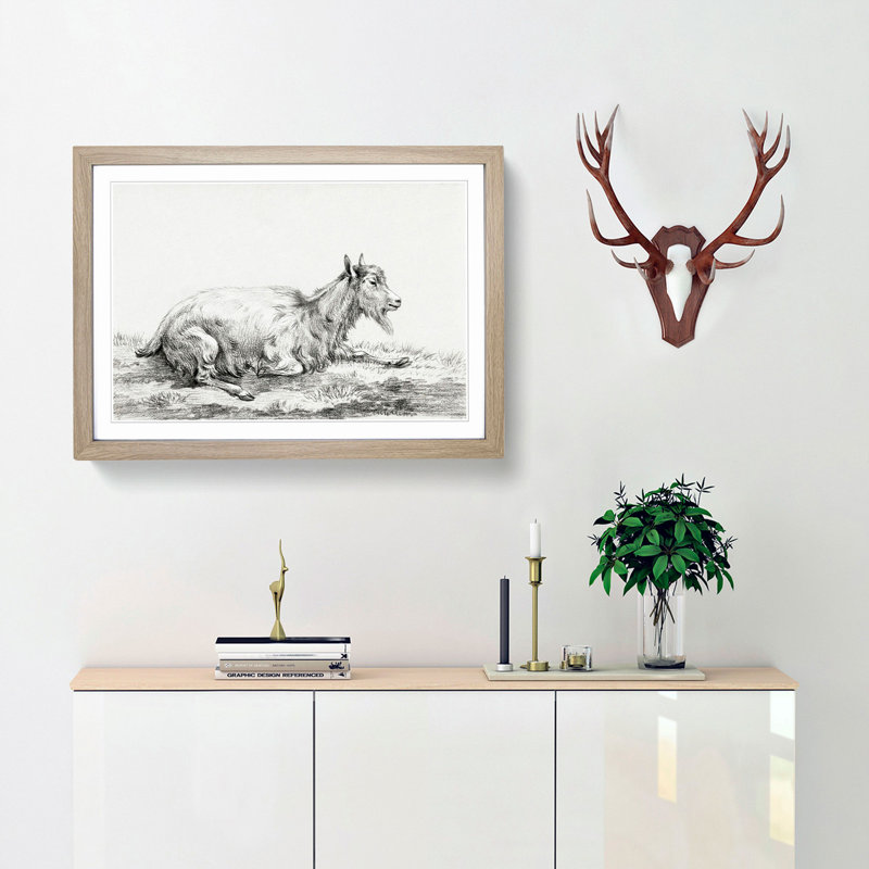 Resting Goat by Jean Bernard - Picture Frame Drawing Print, Oak Framed, 48cm H x 65cm W x 2cm D