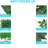 Artificial Hedge, size 24" X 16"