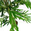 Faux Bamboo Tree in Pot Liner-88443228