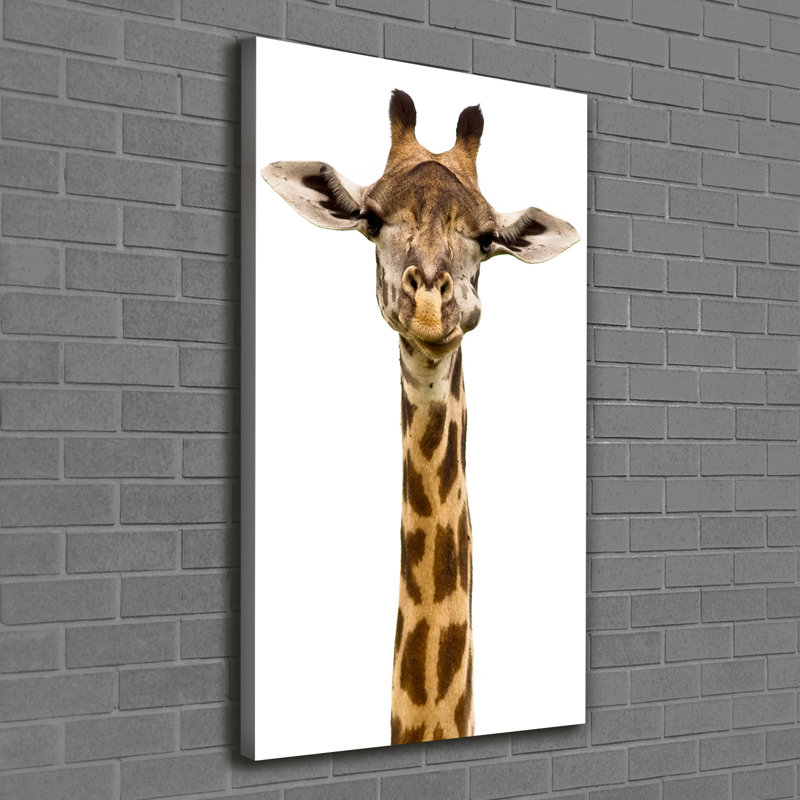 Giraffe - Wrapped Canvas Print