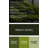 Botanical Moss Green Canvas Wall Art