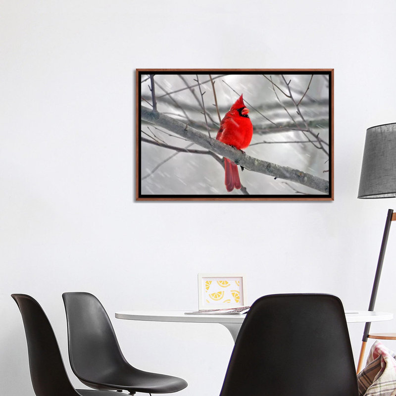 « cardinal oiseau »-impression, Toile avec cadre en bois classique, H 32 po x l 48 po x P 1,5 po