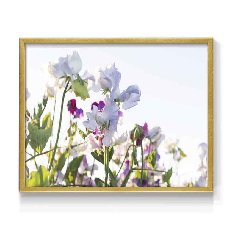 Fleurs printanières - reproduction encadrée - réversible