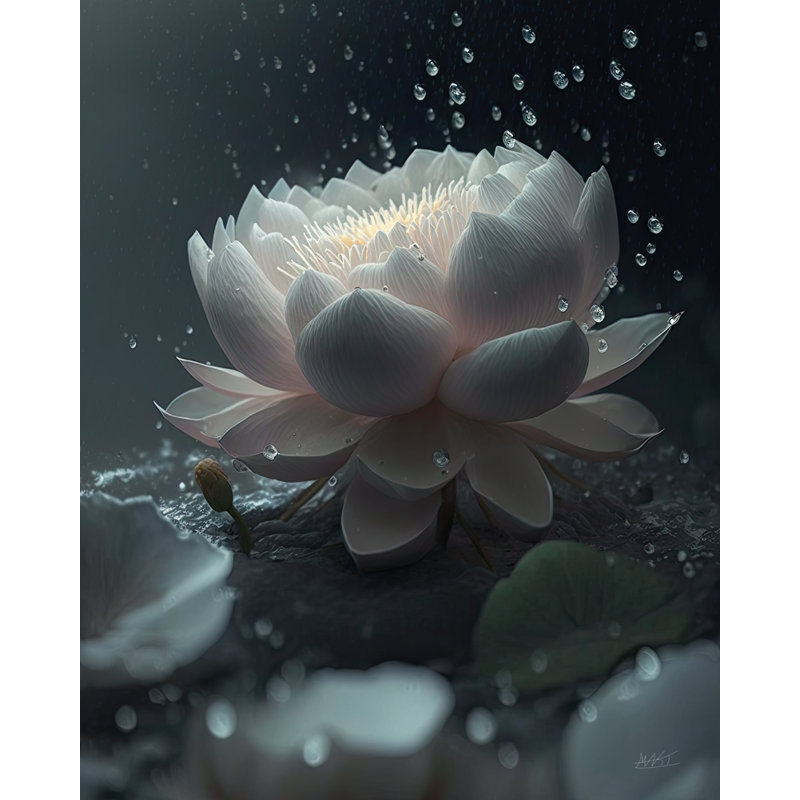 «Bloom of the Lotus III», reproduction sur toile sans cadre, H 36 po x l 36 po x P 1,5 po