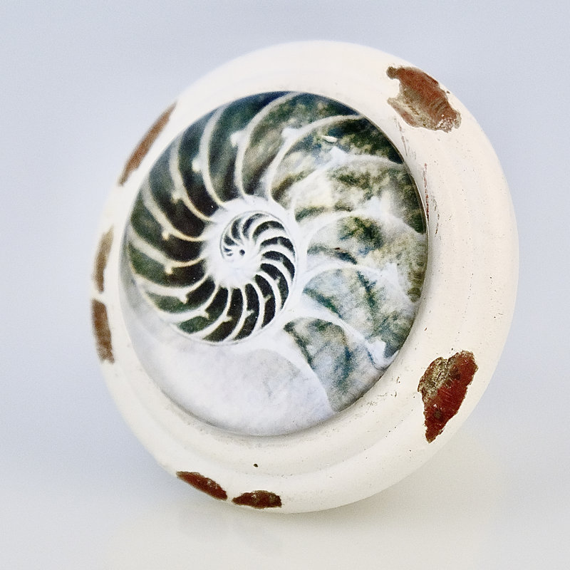 Poignée Nautilus blanc délavé Seashell Art
