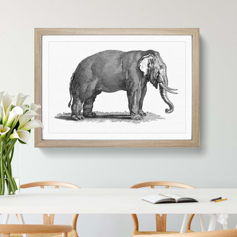 Elephant in Black & White by George Shaw - Picture Frame Drawing Print, Oak Framed, 27cm H x 36cm W x 2cm D