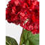 Fiori Hydrangea Arrangement