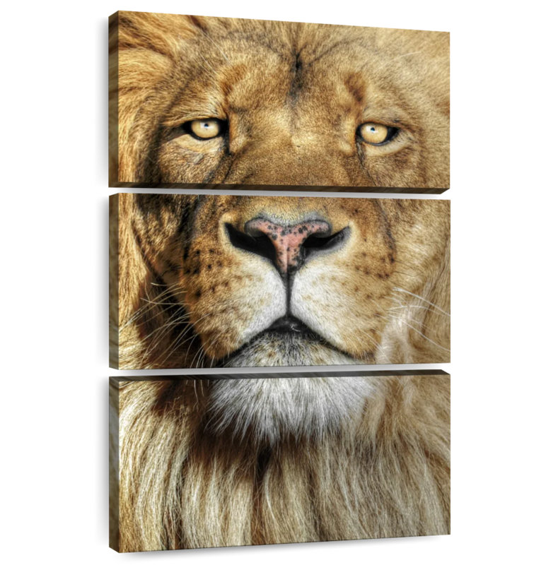Tête de lion épique Brampt, H 65 po x l 42 po