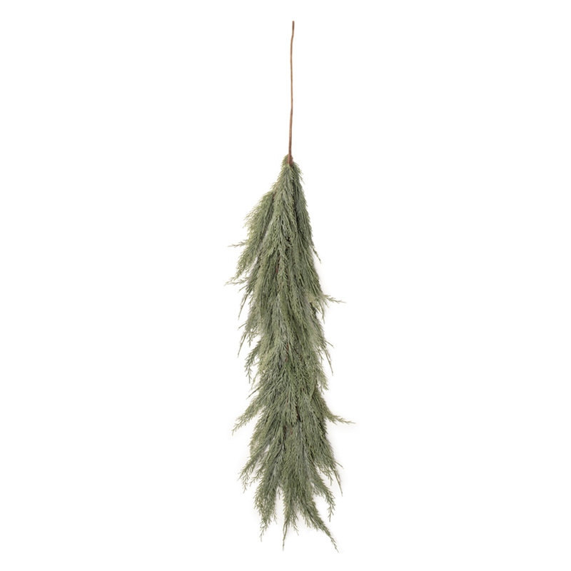 Variegated Pine Vine