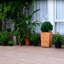 Planter Box-1384597192