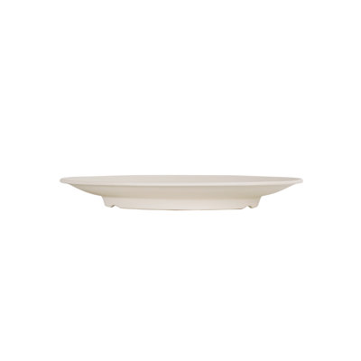 9'' Melamine Dinner Plate
