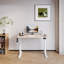 Electric T-Shape Height Adjustable Standing Desk-1486735812-1511624578