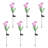 6-Pack 3-Head Solar Spider Lily Light-121281305