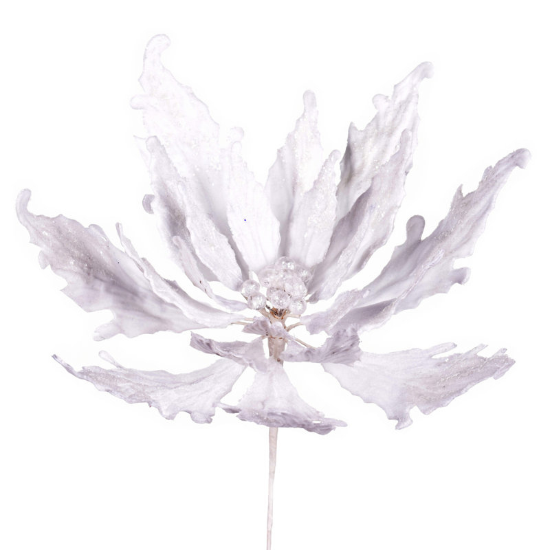 Choix de Noël 16 po x 22 po Vickerman, Blanc