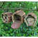 3 Piece Insect Hotel, Squirrel Hanging Birdhouse Set