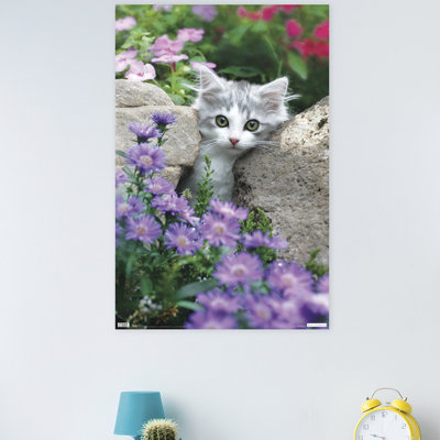 Impression sur papier chat-pierres