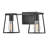 2-Light Open Cage Bath Vanity Fixture