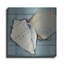 Art mural en métal «Seashell Sketch II» par Tim O'Toole-101629709