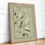 Olive Study Botanical - Framed Print-1643935228-1643935231