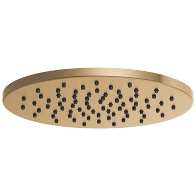 Essential™ Rain Adjustable Shower Head