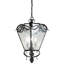 Fleur 4 - Light Chandelier