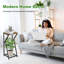 Plant Stand