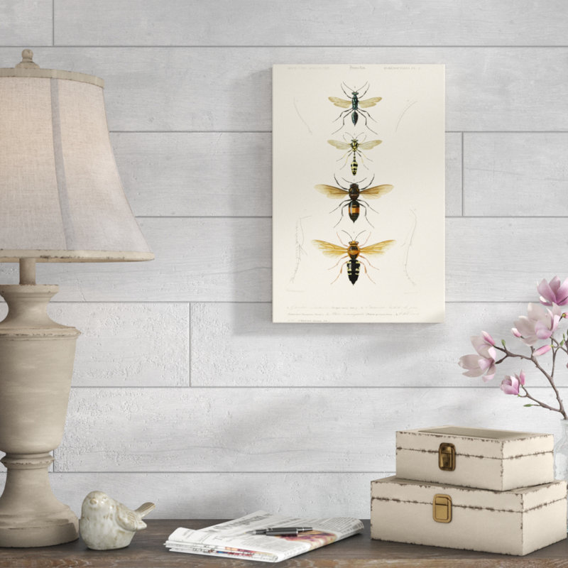 'Antique Bees II' by Blanchard - Painting Print, 46cm H x 30cm W, Wrapped Canvas