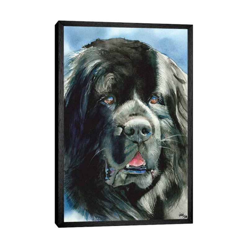 What's Newfie - Newfoundland by Judith Stein - Gallery-Wrapped Canvas Giclée on Canvas, Black Framed, 66.04 cm H x 45.72 cm W