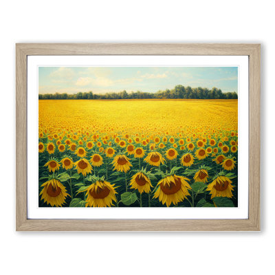Traditional Sunflower Field - Framed Print