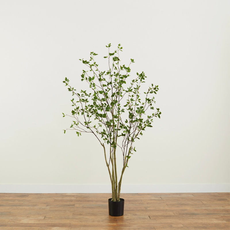Anzavia 84'' Faux Foliage Tree in Pot