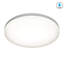 LED Flush Mount