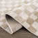 Jasha Checkered Beige/Brown Area Rug