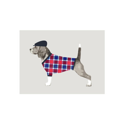 Asher Print by Emma Brooks