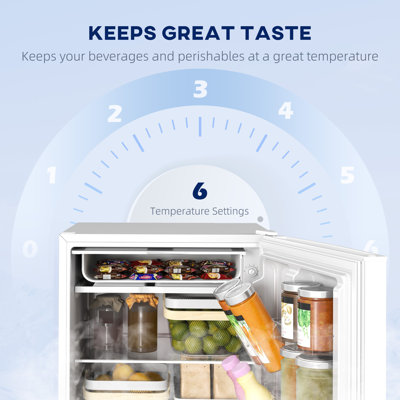 Mini Fridge with Freezer, Wheels, Refrigerator