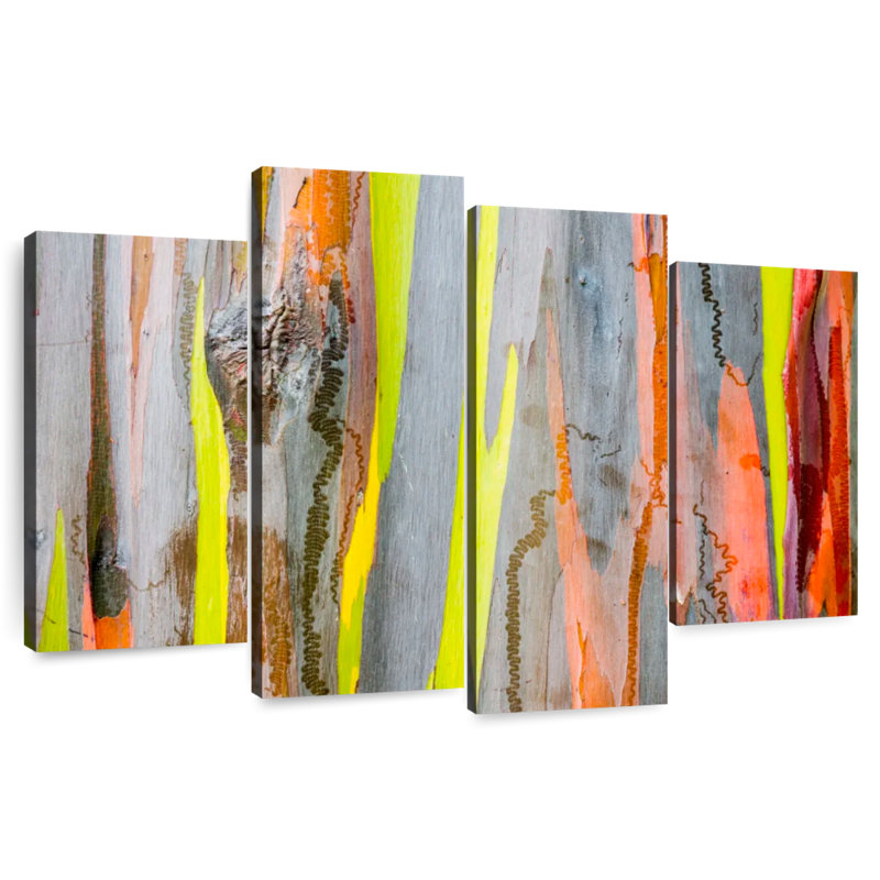 Harnek Exotic Eucalyptus Tree, 22" H x 36" W